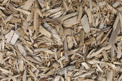 biomass boilers Hulland Moss